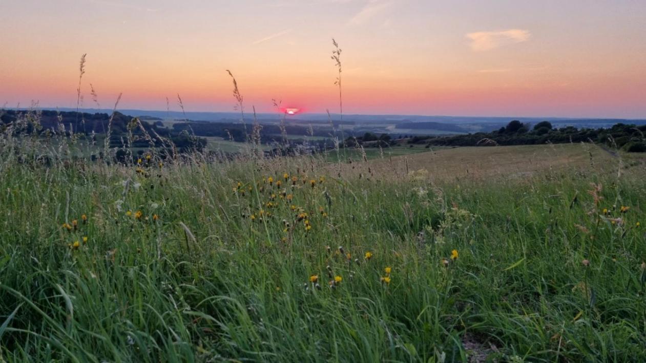 Ferienwohnung Eifelweh - Lieblingszeit Berndorf  Exteriör bild